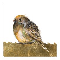 Cuadro Decorativo - Pájaro De Oro - Patricia Pinto  - Arte Animales - Impresión En Lienzo - Fine Art Tj