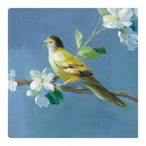 Cuadro Decorativo - Primavera En El Vecindario V - Danhui Nai  - Arte Animales - Impresión En Lienzo - Fine Art Tj