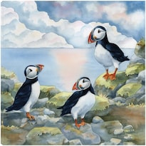 Lienzo De Bellas Artes Con Frailecillos En El Acantilado De Tracy Mille - Venta Internacional.