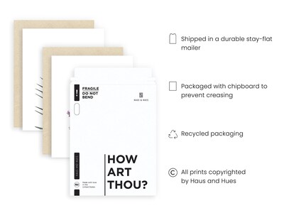 Foto 3 | Foto 3 | Set de Estampados Haus And Hues Diseño Floral 6 Piezas - Venta Internacional