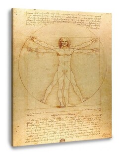 Foto 1 | Foto 1 | Hombre De Vitruvio Da Vinci Litografía Arte Original Italian