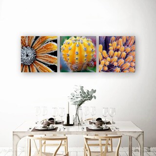 Foto 2 | Foto 2 | Tríptico Plantas Cactus Cuadros Decorativos Canvas Varios Mo
