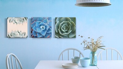 Foto 1 | Foto 1 | Tríptico Plantas Cactus Cuadros Decorativos Canvas Varios Mo