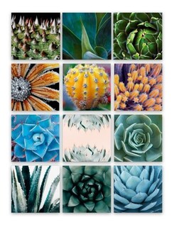 Foto 2 | Foto 2 | Tríptico Plantas Cactus Cuadros Decorativos Canvas Varios Mo