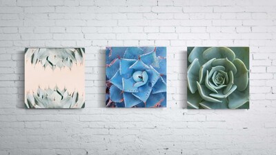 Foto 3 | Foto 3 | Tríptico Plantas Cactus Cuadros Decorativos Canvas Varios Mo