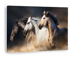 Cuadro Caballos Corriendo Moderno En Canvas Alta Calidad Hd