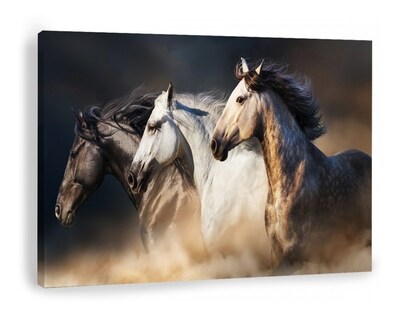 Foto 1 | Foto 1 | Cuadro Caballos Corriendo Moderno En Canvas Alta Calidad Hd