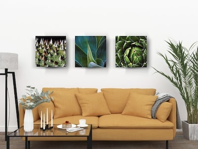 Foto 1 | Foto 1 | Tríptico Plantas Cactus Cuadros Decorativos Canvas Varios Mo