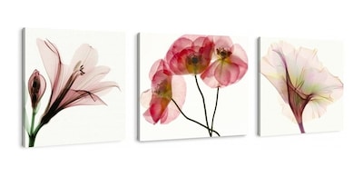 Foto 1 | Foto 1 | Set Cuadros Flores Minimalista Moderno Naturaleza En Canvas