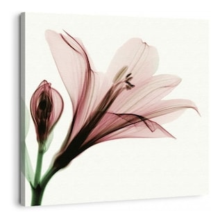 Foto 5 | Foto 5 | Set Cuadros Flores Minimalista Moderno Naturaleza En Canvas