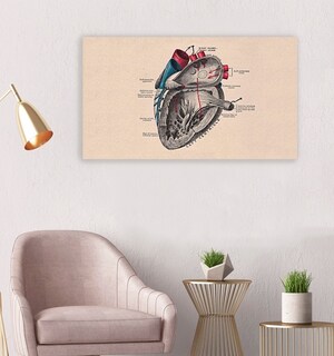 Foto 3 | Foto 3 | Cuadro Decorativo Canvas Para Consultorio Medico, Cuerpo