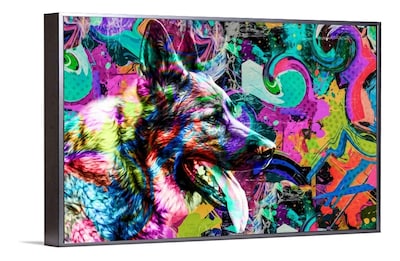 Foto 4 | Foto 4 | Cuadros Decorativos Abstracto Moderno Animales Colores 4k