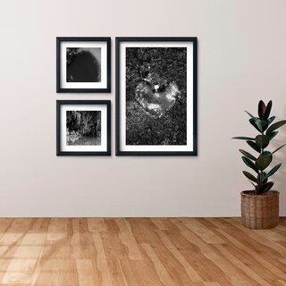 Foto 3 | Foto 3 | Set 3 Cuadros Cenotes Mexico Elegante Blanco Y Negro Hermoso
