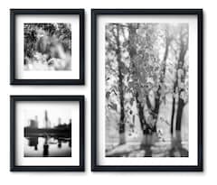 Set 3 Cuadros Flores Elegantes Minimalista Blanco Negro