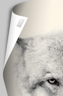 Foto 4 | Foto 4 | Póster De Pared Trends International Wicked Elphaba Glinda - Venta Internacional.