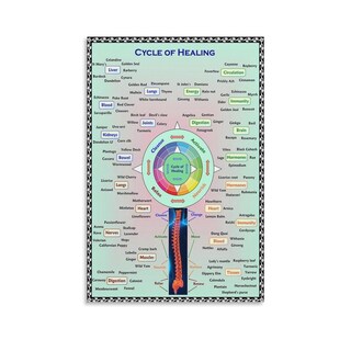 Foto 1 | Foto 1 | Cuadro Mural Ciclo De Herboristería Curativa 30 X 40 Cm - Venta Internacional