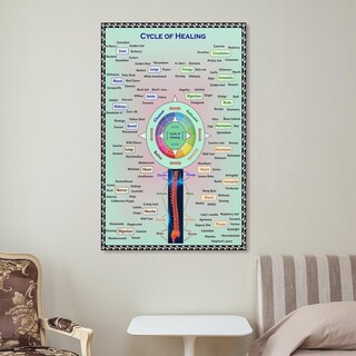 Foto 7 | Foto 7 | Cuadro Mural Ciclo De Herboristería Curativa 30 X 40 Cm - Venta Internacional