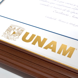 Foto 5 | Foto 5 | Marco Oficial Unam , Para Título Universitario 40x50 C M
