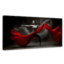 Cuadro Blanco Y Negro Canvas Vuelo Escarlata 120x60