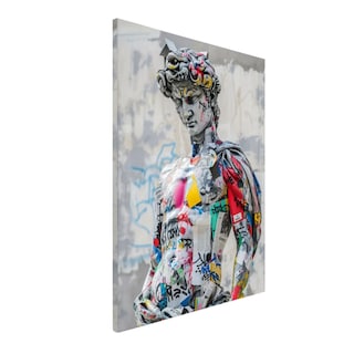 Foto 1 | Foto 1 | Ilios Innova | Cuadro Decorativo Fotografía David Grafiti, Impreso En Tela 80x120cm, Impresión Digital De Alta Calidad