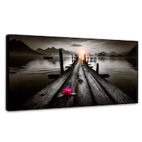 Cuadro Blanco Y Negro Canvas Pétalos De Muelle 120x60
