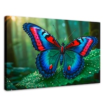 Cuadro Mariposas Canvas Mariposa De Selva 90x60