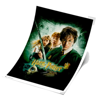 Foto 1 | Foto 1 | Poster Exclusivo (piezas Limitadas) Harry Potter - La Camara De Los Secretos