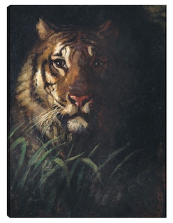 Foto 1 | Foto 1 | Cuadro Decorativo - Cabeza De Tigre (hacia 1874)- Abbott Handerson Thayer - Animales - 46x61 - Impresión En Lienzo - Fine Art Tj