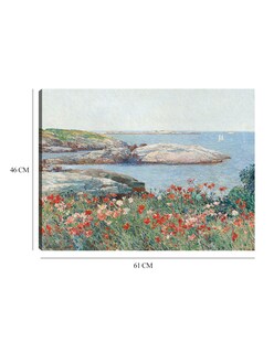 Foto 6 | Foto 6 | Cuadro Decorativo - Amapolas, Isles Of Shoals, 1891- Childe Hassam - Costa - 46x61 - Impresión En Lienzo - Fine Art Tj