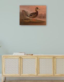 Foto 4 | Foto 4 | Cuadro Decorativo - Ánade Real (1848)- Ferdinand Von Wright - Religión - 69x92 - Impresión En Lienzo - Fine Art Tj