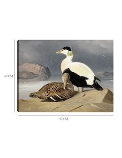 Foto 6 | Foto 6 | Cuadro Decorativo - Kaksi Haahkaa (1867)- Ferdinand Von Wright - Religión - 69x92 - Impresión En Lienzo - Fine Art Tj