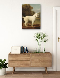 Foto 3 | Foto 3 | Cuadro Decorativo - Caniche Blanco En Una Batea, C. 1780- George Stubbs - Animales - 46x61 - Impresión En Lienzo - Fine Art Tj