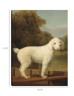 Foto 6 | Foto 6 | Cuadro Decorativo - Caniche Blanco En Una Batea, C. 1780- George Stubbs - Animales - 46x61 - Impresión En Lienzo - Fine Art Tj