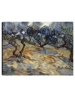 Foto 1 | Foto 1 | Cuadro Decorativo - Olivos- Vincent Van Gogh - Paisaje - 46x61 - Impresión En Lienzo - Fine Art Tj