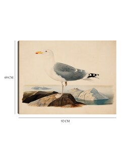 Foto 6 | Foto 6 | Cuadro Decorativo - Gaviota Argéntea Europea (1839)- Ferdinand Von Wright - Religión - 69x92 - Impresión En Lienzo - Fine Art Tj