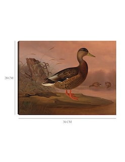 Foto 6 | Foto 6 | Cuadro Decorativo - Ánade Real (1848)- Ferdinand Von Wright - Religión - 28x36 - Impresión En Lienzo - Fine Art Tj