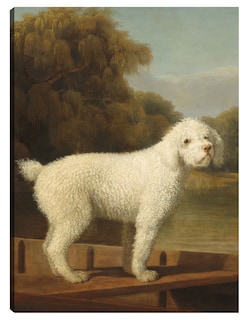 Foto 1 | Foto 1 | Cuadro Decorativo - Caniche Blanco En Una Batea, C. 1780- George Stubbs - Animales - 28x36 - Impresión En Lienzo - Fine Art Tj