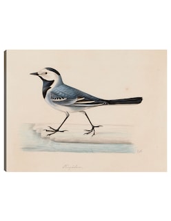 Foto 1 | Foto 1 | Cuadro Decorativo - Lavandera Blanca- Ferdinand Von Wright - Religión - 69x92 - Impresión En Lienzo - Fine Art Tj