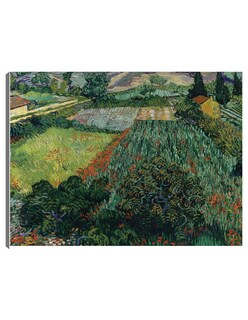 Foto 1 | Foto 1 | Cuadro Decorativo - Campo De Amapolas (1889)- Vincent Van Gogh - Religión - 46x61 - Impresión En Lienzo - Fine Art Tj