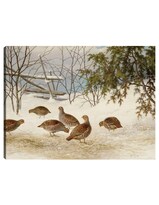 Cuadro Decorativo - Perdices En La Nieve (1895)- Ferdinand Von Wright - Religión - 46x61 - Impresión En Lienzo - Fine Art Tj