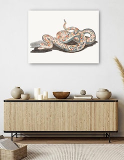 Foto 5 | Foto 5 | Cuadro Decorativo - Una Serpiente- Johan Teyler - Animales - 28x36 - Impresión En Lienzo - Fine Art Tj