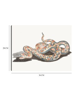 Foto 6 | Foto 6 | Cuadro Decorativo - Una Serpiente- Johan Teyler - Animales - 28x36 - Impresión En Lienzo - Fine Art Tj