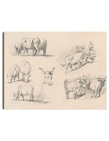 Cuadro Decorativo - Estudios De Ganado (c. 1872)- John Singer Sargent - Fotografía - 46x61 - Impresión En Lienzo - Fine Art Tj