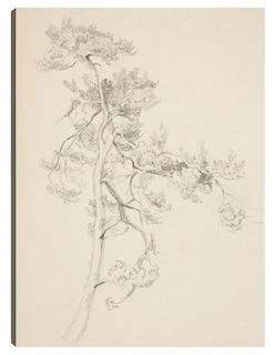 Foto 1 | Foto 1 | Cuadro Decorativo - Árbol Y Follaje- John Singer Sargent - Abstracto - 28x36 - Impresión En Lienzo - Fine Art Tj
