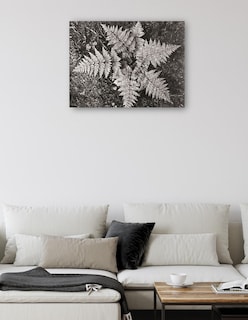 Foto 5 | Foto 5 | Cuadro Decorativo - En El Parque Nacional Glacier, Montana- Ansel Adams - Religión - 46x61 - Impresión En Lienzo - Fine Art Tj