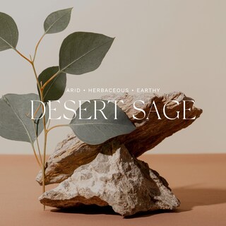 Foto 3 | Foto 3 | Difusor De Ambiente Para El Hogar Antica Farmacista Desert Sage 500 Ml - Venta Internacional.