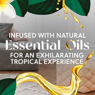 Foto 4 | Foto 4 | Aceites Perfumados Air Wick Paradise Retreat 0+5 300 Días - Venta Internacional.