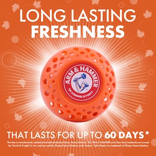 Foto 2 | Foto 2 | Bolas Desodorizantes Arm & Hammer Odor Busterz Pumpkin Cream - Venta Internacional.