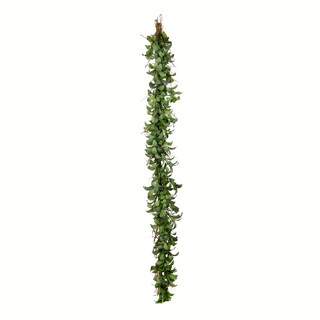 Foto 1 | Foto 1 | Guirnalda Artificial Con Orejeras De Cordero Vickerman, 180 Cm, Color Verde - Venta Internacional.