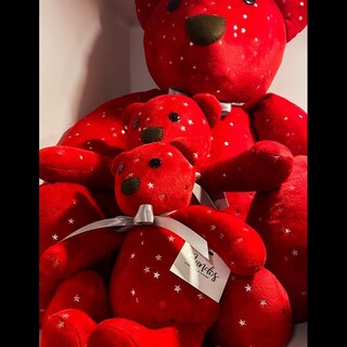 Foto 3 | Foto 3 | Oso Navideño De Peluche Hecho En México Estrellas
